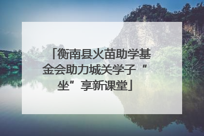 衡南县火苗助学基金会助力城关学子“坐”享新课堂