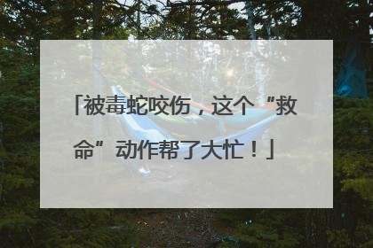 被毒蛇咬伤，这个“救命”动作帮了大忙！