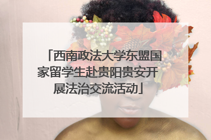 西南政法大学东盟国家留学生赴贵阳贵安开展法治交流活动