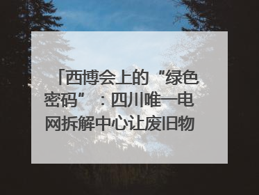 西博会上的“绿色密码”：四川唯一电网拆解中心让废旧物资“重生”｜西博寻“新”记