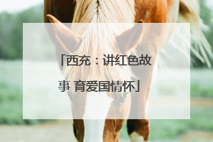 西充：讲红色故事 育爱国情怀