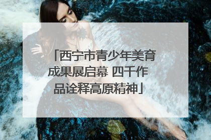 西宁市青少年美育成果展启幕 四千作品诠释高原精神