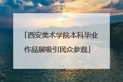 西安美术学院本科毕业作品展吸引民众参观
