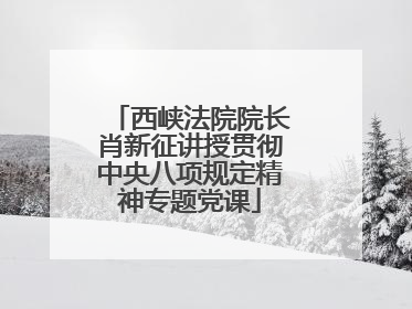 西峡法院院长肖新征讲授贯彻中央八项规定精神专题党课