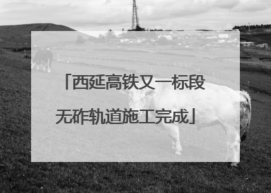 西延高铁又一标段无砟轨道施工完成