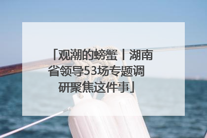 观潮的螃蟹丨湖南省领导53场专题调研聚焦这件事