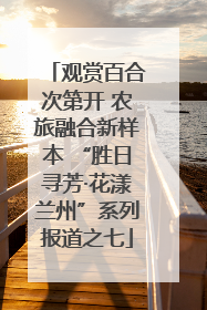 观赏百合次第开 农旅融合新样本 “胜日寻芳·花漾兰州”系列报道之七