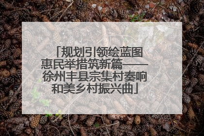 规划引领绘蓝图 惠民举措筑新篇——徐州丰县宗集村奏响和美乡村振兴曲