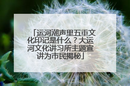 运河潮声里五重文化印记是什么？大运河文化讲习所主题宣讲为市民揭秘