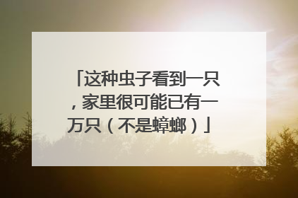 这种虫子看到一只，家里很可能已有一万只（不是蟑螂）