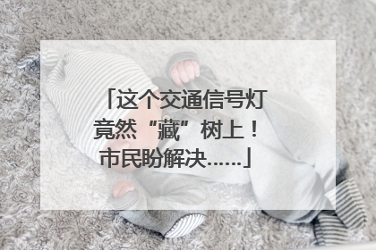这个交通信号灯竟然“藏”树上！市民盼解决……