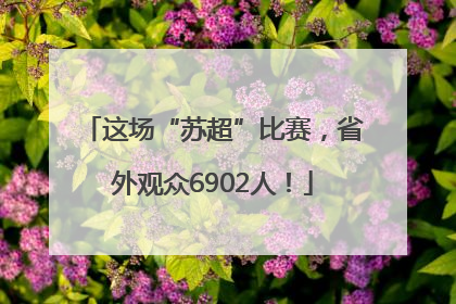 这场“苏超”比赛，省外观众6902人！