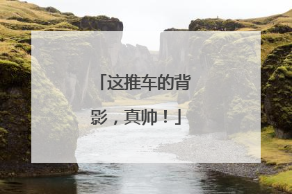 这推车的背影，真帅！