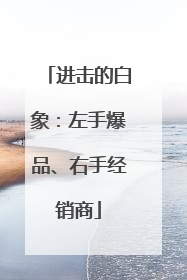 进击的白象：左手爆品、右手经销商