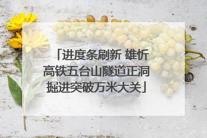 进度条刷新 雄忻高铁五台山隧道正洞掘进突破万米大关