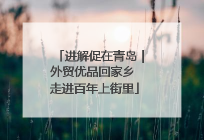 进解促在青岛｜外贸优品回家乡 走进百年上街里