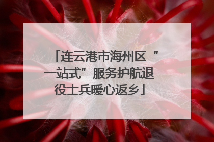 连云港市海州区“一站式”服务护航退役士兵暖心返乡
