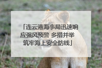 连云港海事局迅速响应强风预警 多措并举筑牢海上安全防线