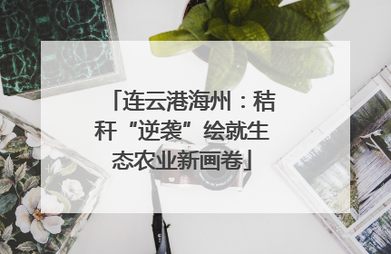 连云港海州：秸秆“逆袭”绘就生态农业新画卷