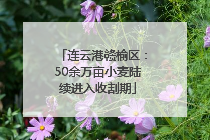 连云港赣榆区：50余万亩小麦陆续进入收割期