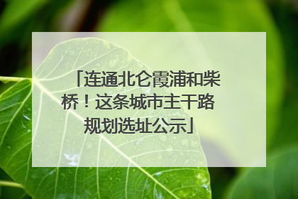连通北仑霞浦和柴桥！这条城市主干路规划选址公示