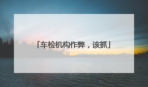 车检机构作弊，该抓