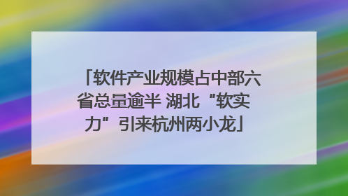 软件产业规模占中部六省总量逾半 湖北“软实力”引来杭州两小龙