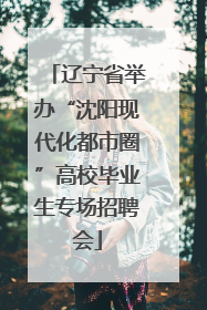 辽宁省举办“沈阳现代化都市圈”高校毕业生专场招聘会