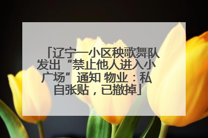 辽宁一小区秧歌舞队发出“禁止他人进入小广场”通知 物业：私自张贴，已撤掉