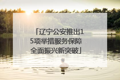 辽宁公安推出15项举措服务保障全面振兴新突破