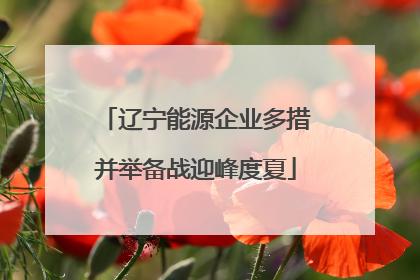 辽宁能源企业多措并举备战迎峰度夏