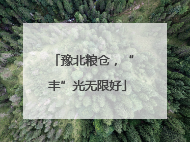 豫北粮仓，“丰”光无限好