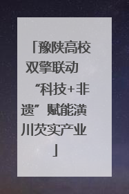 豫陕高校双擎联动 “科技+非遗”赋能潢川芡实产业
