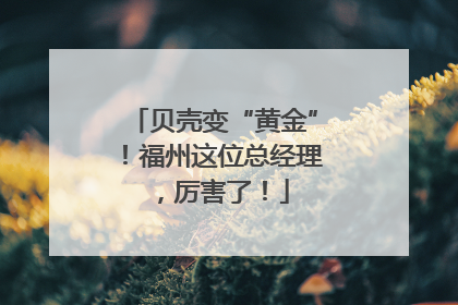 贝壳变“黄金”！福州这位总经理，厉害了！