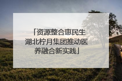 资源整合惠民生 湖北柠月集团推动医养融合新实践