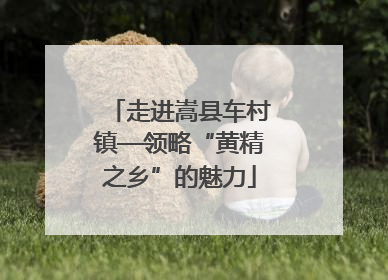 走进嵩县车村镇—领略“黄精之乡”的魅力