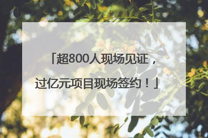 超800人现场见证，过亿元项目现场签约！