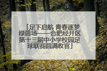 足下启航 青春逐梦绿茵场——合肥经开区第十三届中小学校园足球联赛圆满收官
