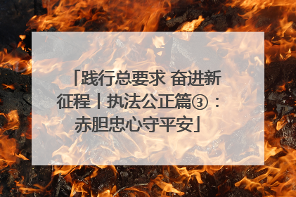 践行总要求 奋进新征程丨执法公正篇③：赤胆忠心守平安