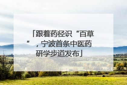 跟着药径识“百草”，宁波首条中医药研学步道发布