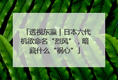 透视东瀛｜日本六代机欲命名“烈风”，暗藏什么“祸心”