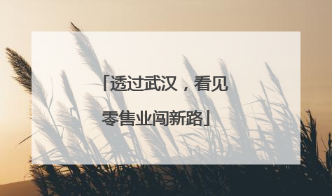 透过武汉，看见零售业闯新路