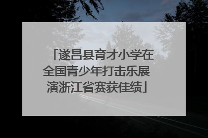 遂昌县育才小学在全国青少年打击乐展演浙江省赛获佳绩