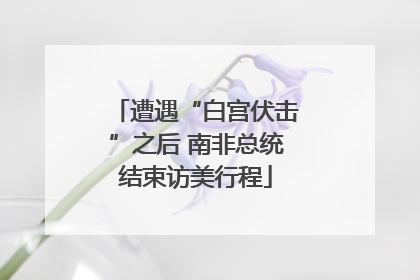 遭遇“白宫伏击”之后 南非总统结束访美行程