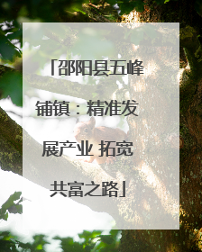 邵阳县五峰铺镇：精准发展产业 拓宽共富之路