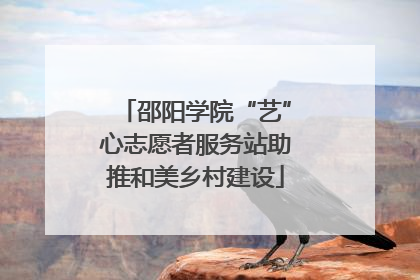 邵阳学院“艺”心志愿者服务站助推和美乡村建设