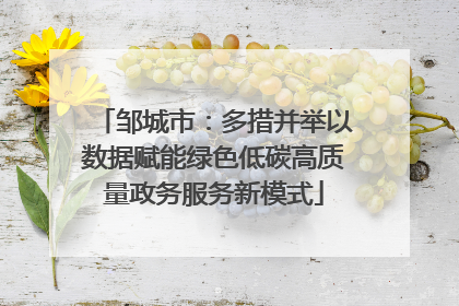 邹城市：多措并举以数据赋能绿色低碳高质量政务服务新模式