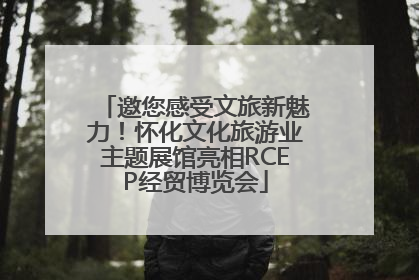 邀您感受文旅新魅力！怀化文化旅游业主题展馆亮相RCEP经贸博览会