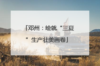 邓州：绘就“三夏”生产壮美画卷