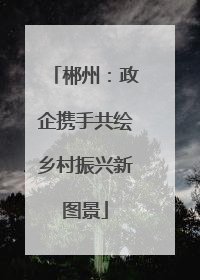 郴州：政企携手共绘乡村振兴新图景